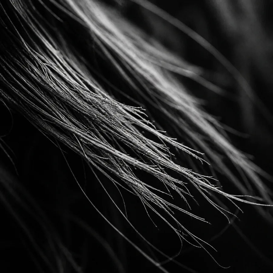 Weak and Damaged Hair