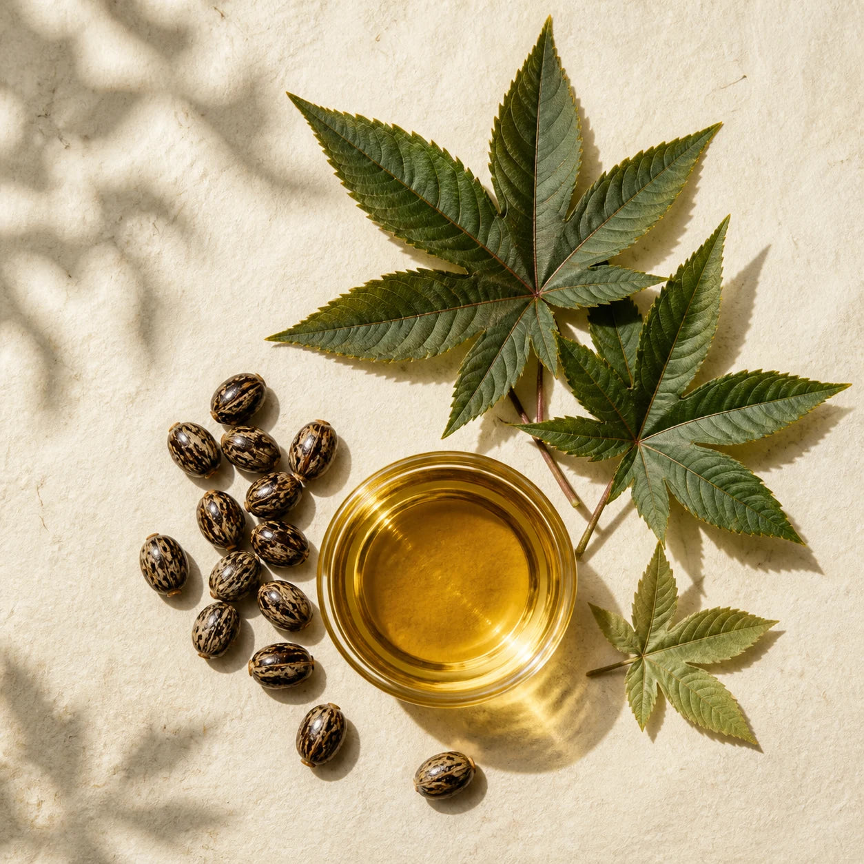 Castor Oil